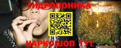 спиды Берёзовский