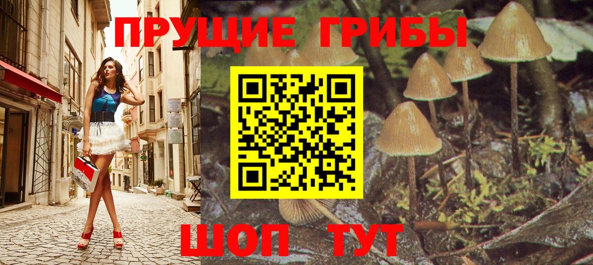 Псилоцибиновые грибы MAGIC MUSHROOMS  Вход с VPN  Ессентуки 