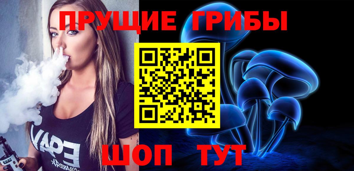 Галлюциногенные грибы Psilocybe Ессентуки
